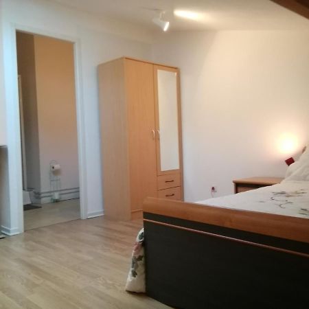 Studio Mansarde A Oyonnax Apartment Luaran gambar